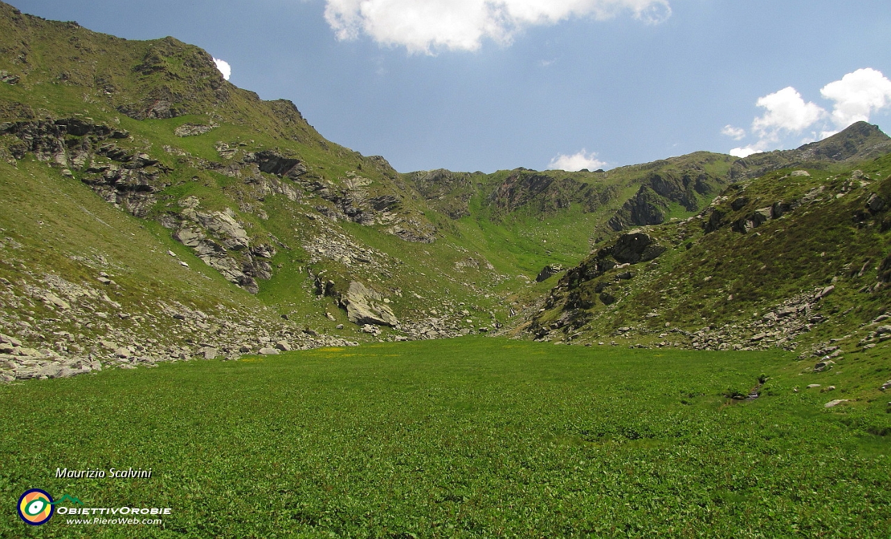 50 La piatta distesa  di romice ai piedi del Passo di Piedivalle....JPG